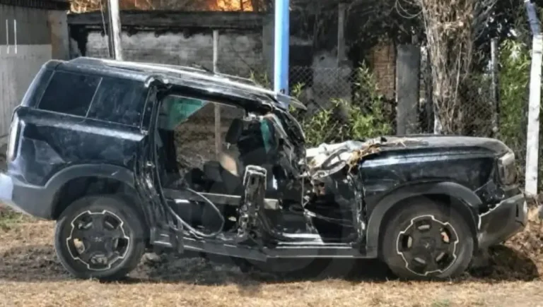 Camioneta dañada tras la caída de un árbol en la Ruta Nacional 143