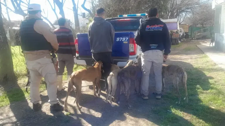Operativo de la Patrulla Rural en la provincia de Córdoba