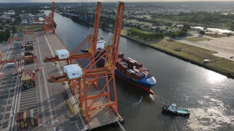 Buques de carga en puerto argentino durante paro de prácticos