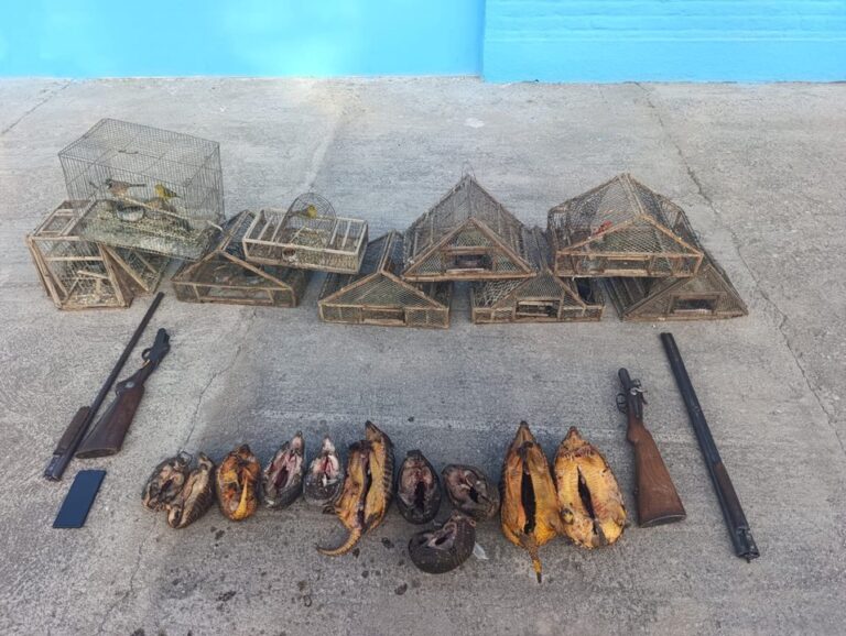 Efectivos de la Patrulla Rural de Córdoba durante un operativo de secuestro de elementos de caza