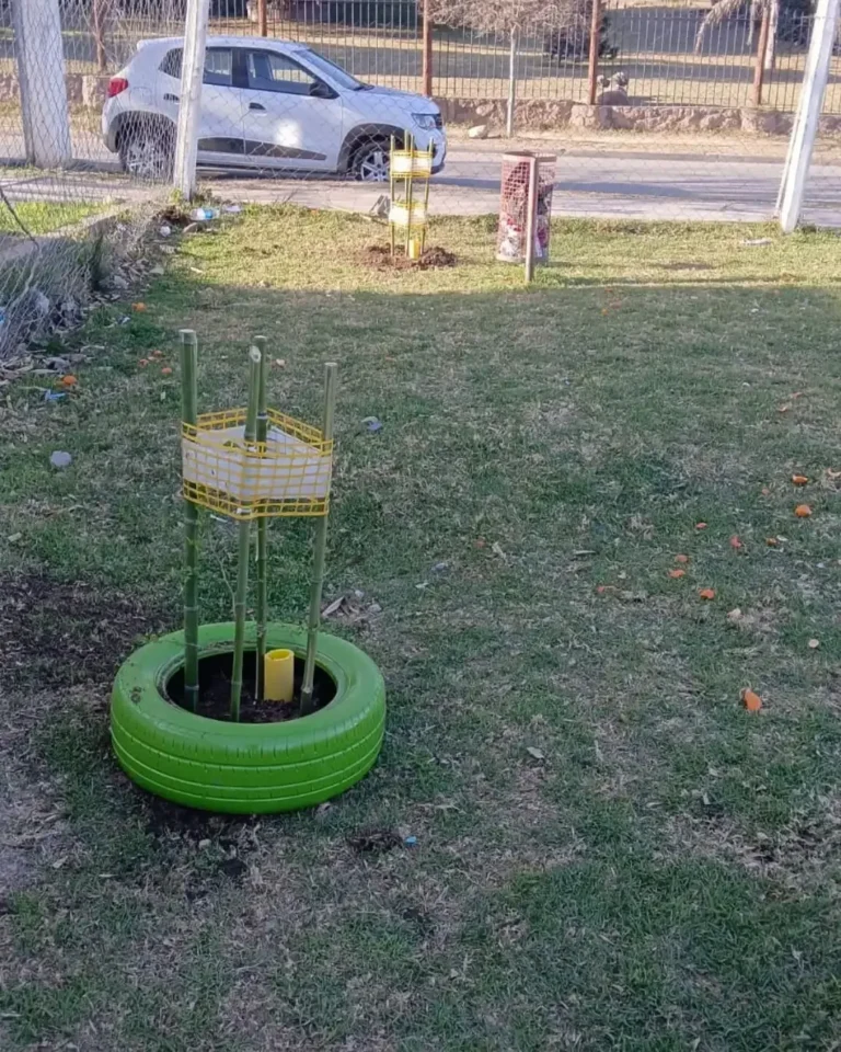 Nuevos árboles plantados en el Polideportivo Municipal de Valle Hermoso